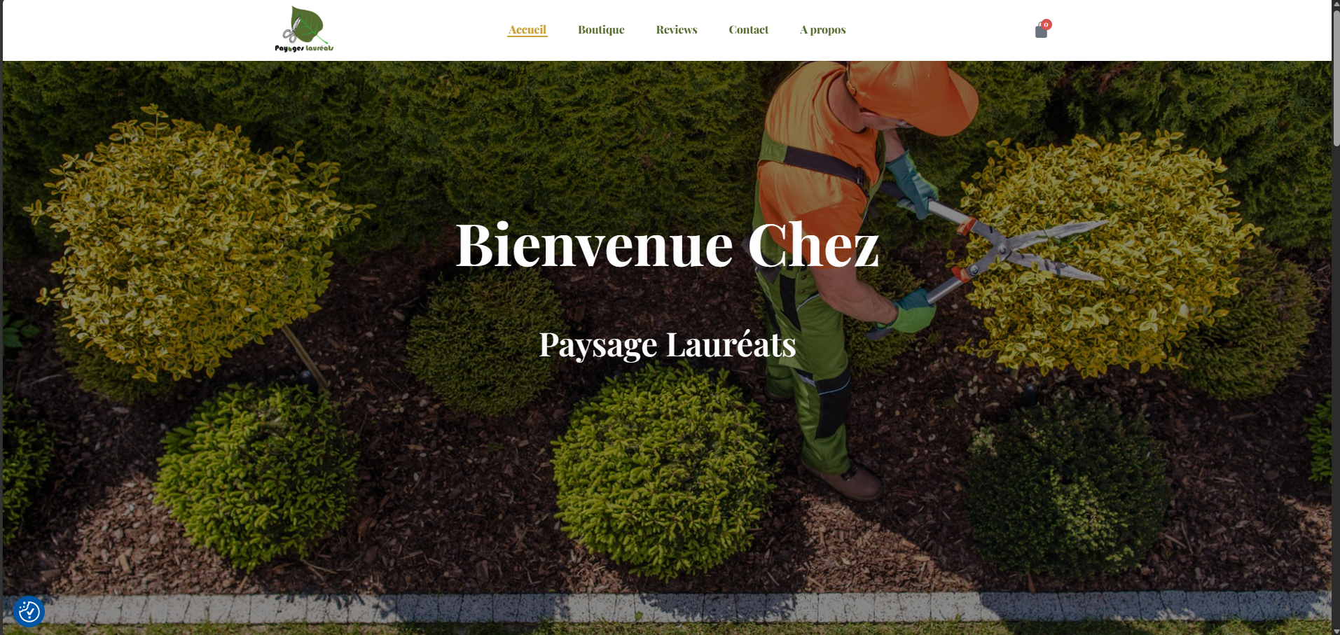 Interface développement web