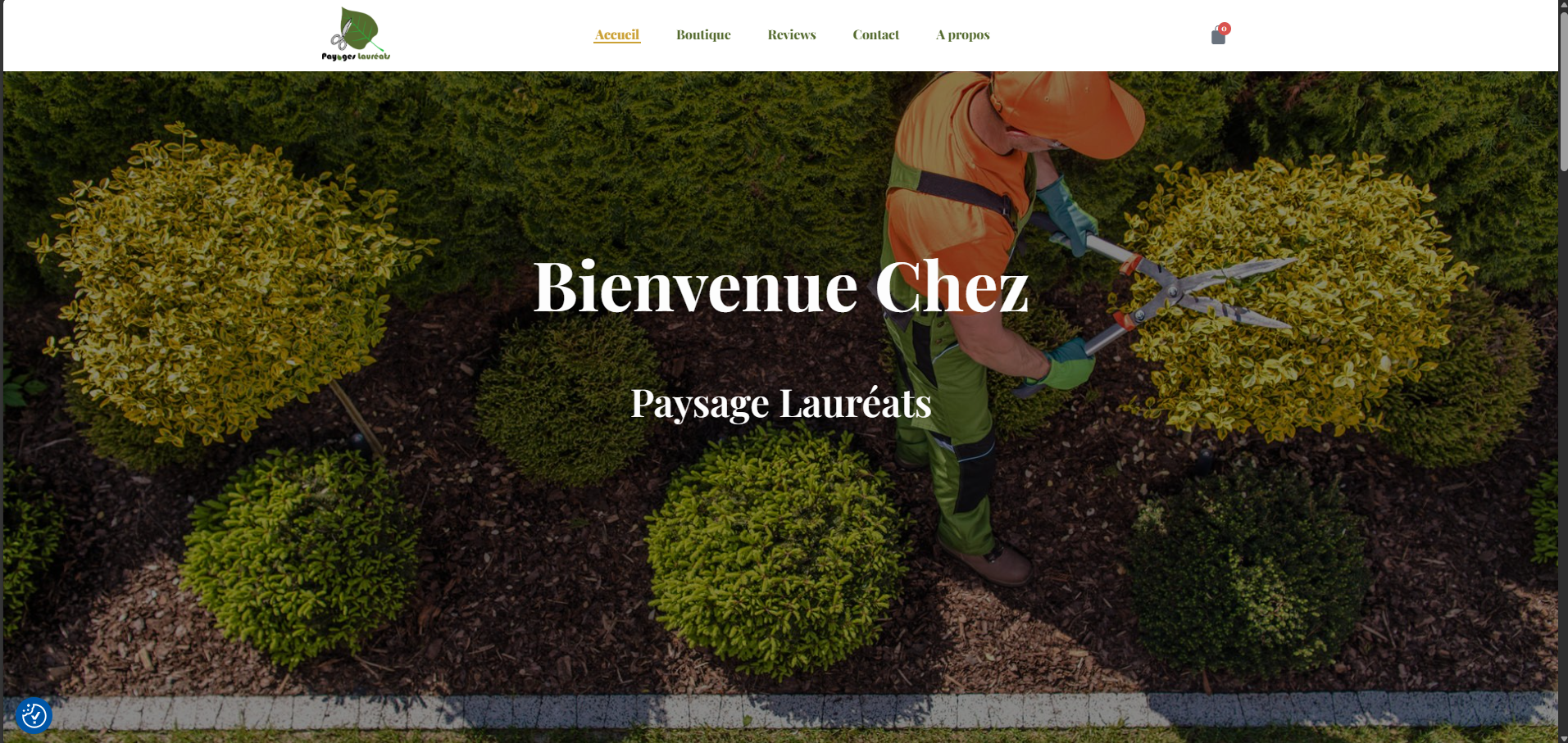 Interface développement web